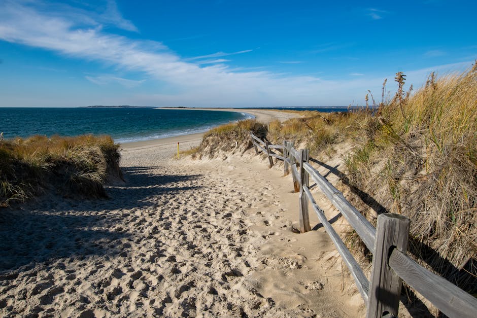 Best Solar Companies in Rhode Island: 2026 ROI Guide